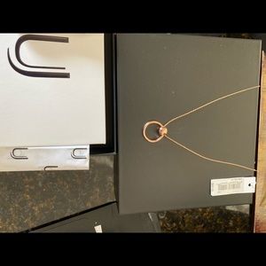 Uncommon James Helix Necklace